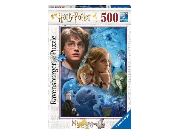 Harry Potter in Hogwarts      500p